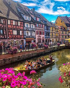 people are riding in a boat on the water next to some buildings and pink flowers