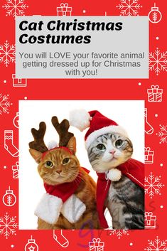 two cats dressed up as santa claus and reindeer hats with text that reads, cat christmas costumes you will love your favorite animal getting dressed up for christmas