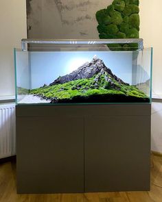 an aquarium with moss growing on the side and a mountain in the middle is shown