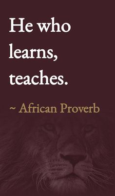 a lion with the quote he who learns teaches african prove