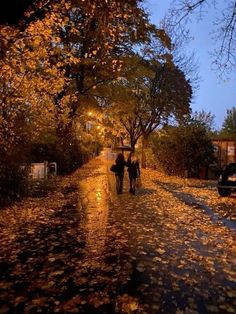 two people are walking down the street in the rain with umbrellas over their heads