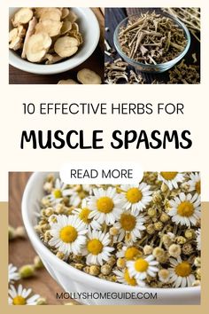 Discover the power of nature with these top antispasmodic herbs for muscle relaxation. Say goodbye to muscle spasms, aches, cramps, and tension with these natural painkillers. Herbs for muscle recovery offer relief from discomfort and promote overall well-being. Explore the best natural muscle relaxers to ease your muscles and improve flexibility. Incorporate spasmolytic herbs into your routine to enjoy the benefits of their anti-inflammatory properties. Antispasmodic Herbs, Back Spasms Relief, Herbs For Muscle Spasms, Herbs For Pain Relief, Muscle Spasms Relief, Natural Muscle Relaxer, Kitchen Witch Recipes, Medicinal Herbs Garden