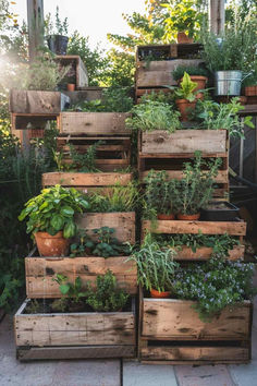 38 Inspiring Herb Garden Designs for Nature Enthusiasts Herb Garden Outdoor Design Landscapes, Herbal Garden Aesthetic, Allotment Ideas Inspiration Uk, Herb Garden Inspiration, Apothecary Greenhouse, Pallets For Gardening, Herb Garden Aesthetic, Garden Shop Display, Herb Planter Ideas