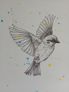 a drawing of a bird flying in the air