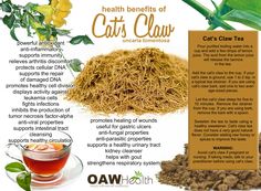 the health benefits of cat's claw tea are shown in this advertment