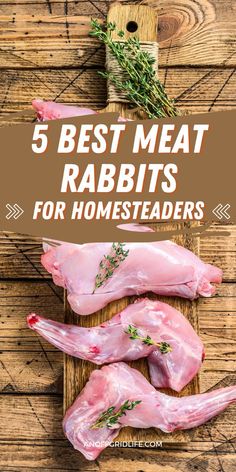 some raw meat on a cutting board with the words 5 best meat rabbits for homeseaders