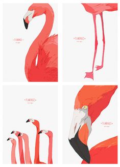 four flamingos are shown in three different ways, one is pink and the other is orange