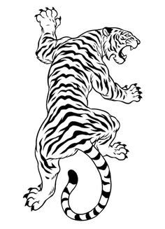 a black and white drawing of a tiger on its hind legs, with one paw in the air