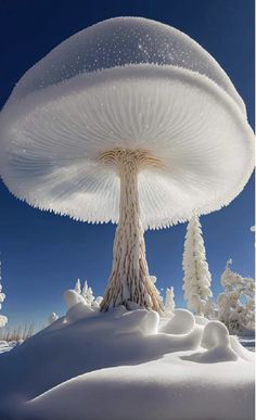 a large white mushroom sitting on top of snow covered ground next to evergreens and trees