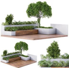 three different views of an outdoor planter with trees and plants in it, including a bench