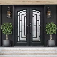 two potted plants sit on the front steps of a black door with glass panels