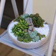 there is a small potted plant on top of a chair that has rocks and gravel in it