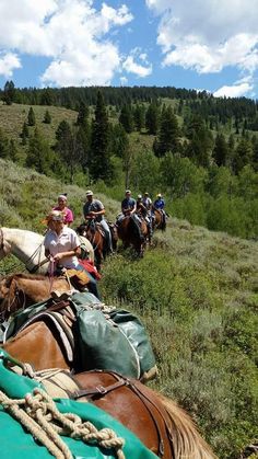 a group of people riding on the backs of brown horses down a lush green hillside