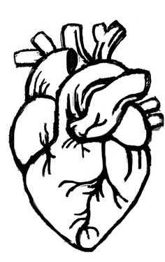 a black and white drawing of a heart