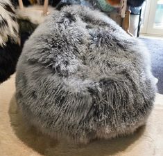 there is a large gray furry ball on the floor