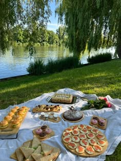 an outdoor picnic with sandwiches and snacks on the grass near water, trees and willow branches