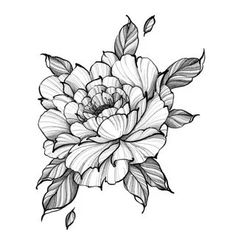 a black and white drawing of a flower