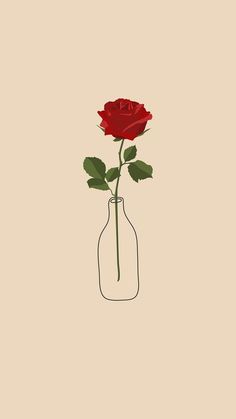 a single red rose in a glass vase on a beige background, with green leaves