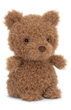 a brown teddy bear sitting up against a white background