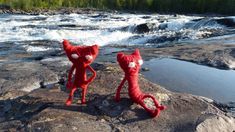 two red teddy bears sitting on top of rocks next to a river with rapids in the background