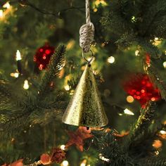 an ornament hanging from a christmas tree