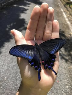 a butterfly that is sitting on the palm of someone's hand in the street