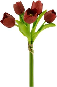 red tulips are in a vase on a white background, with green stems