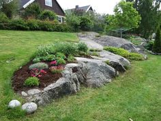 a rock garden in the middle of a yard