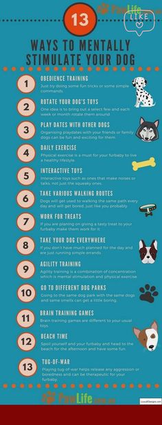 the ultimate guide to mental training for dogs and their owners info poster with instructions on how to