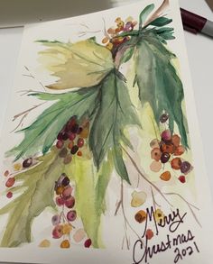 a watercolor painting of a christmas tree branch with berries and pine cones on it