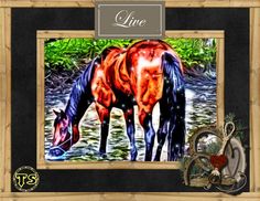 a painting of a horse eating grass next to a river with the words live on it