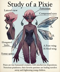 the anatomy of a pixie with its different parts labeled in each section, including wings and legs