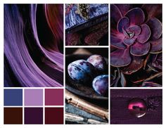 a collage of different shades of purple