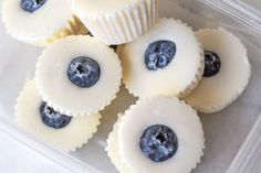 blueberry cupcakes with white frosting in a plastic container