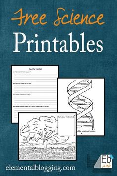 a book cover with the title free science printables