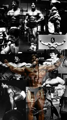 a collage of bodybuilding photos and images