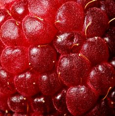 a close up view of some red berries