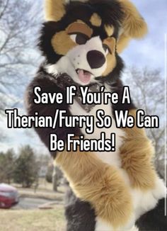 a stuffed animal that says save if you're a siberian / furry so we can be friends