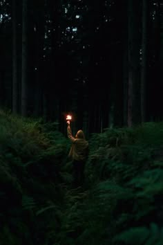 a person standing in the woods holding a light