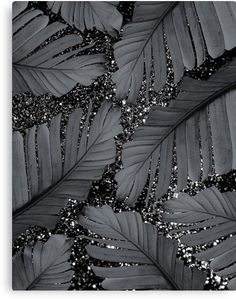 black and white photograph of leaves with silver glitters