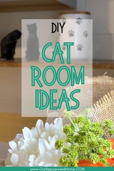 the words diy cat room ideas are overlaid by flowers and plants in vases