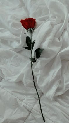 a single red rose sitting on top of a white sheet covered bed spread with sheets