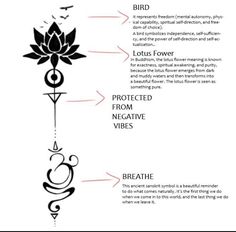 a diagram showing the different parts of a flower