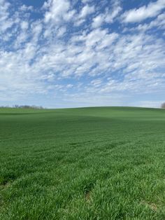 an empty field with green grass under a blue sky