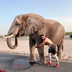 a man is standing next to an elephant