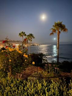 the full moon is seen over the ocean with palm trees and flowers in front of it