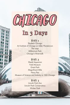 the chicago in 3 days poster