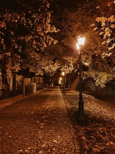 a street light on the side of a cobblestone road with trees lining both sides