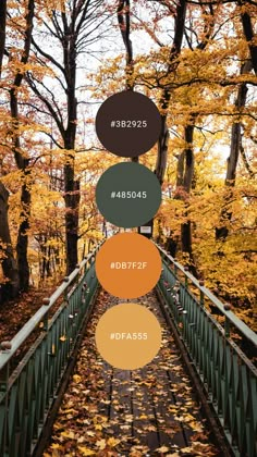 an image of a bridge in the woods with autumn leaves on the ground and trees all around