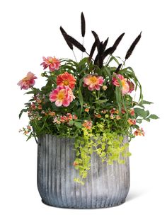 a metal planter with flowers and plants in it on a white background for display